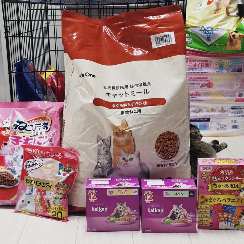Instagram投稿:ご支援をいただきました。ありがとうございます
